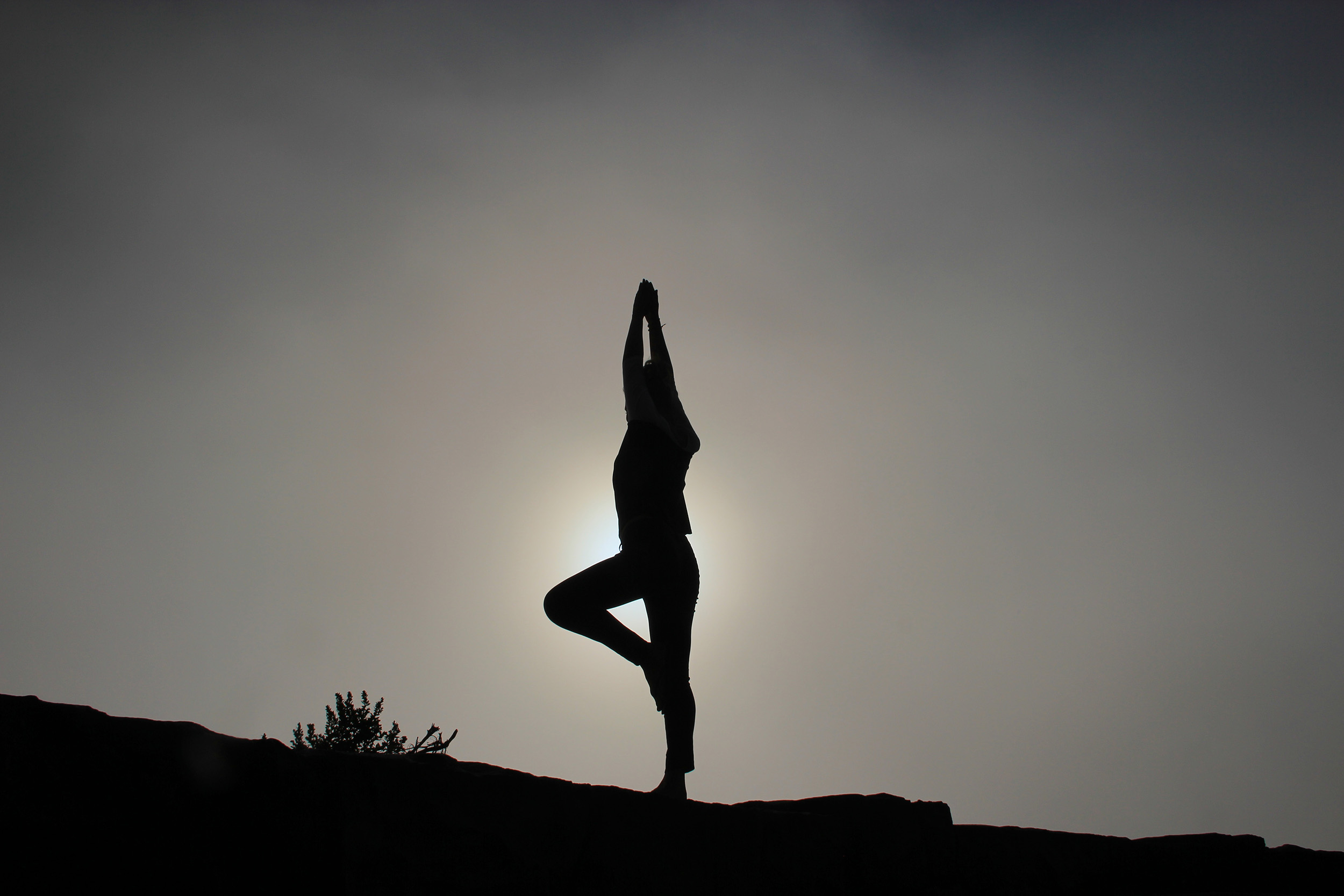 The YASYOGA Community